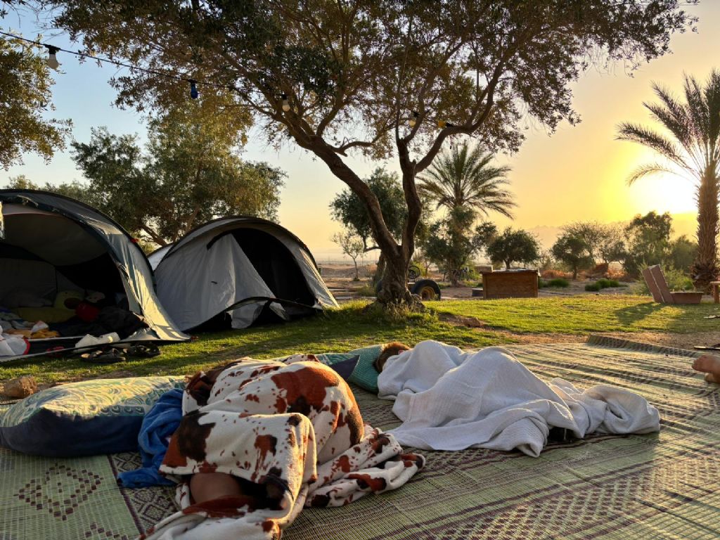 ������� ������ �� ��