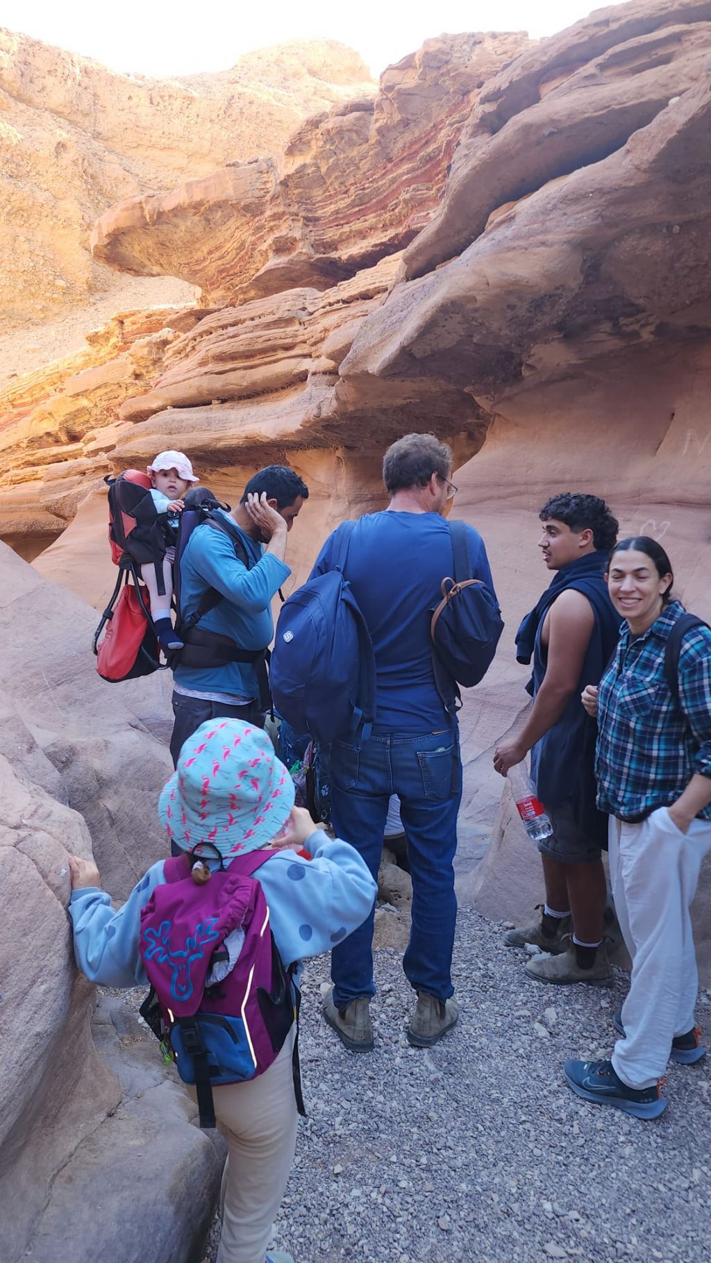 ���� ������ ����� 1/26